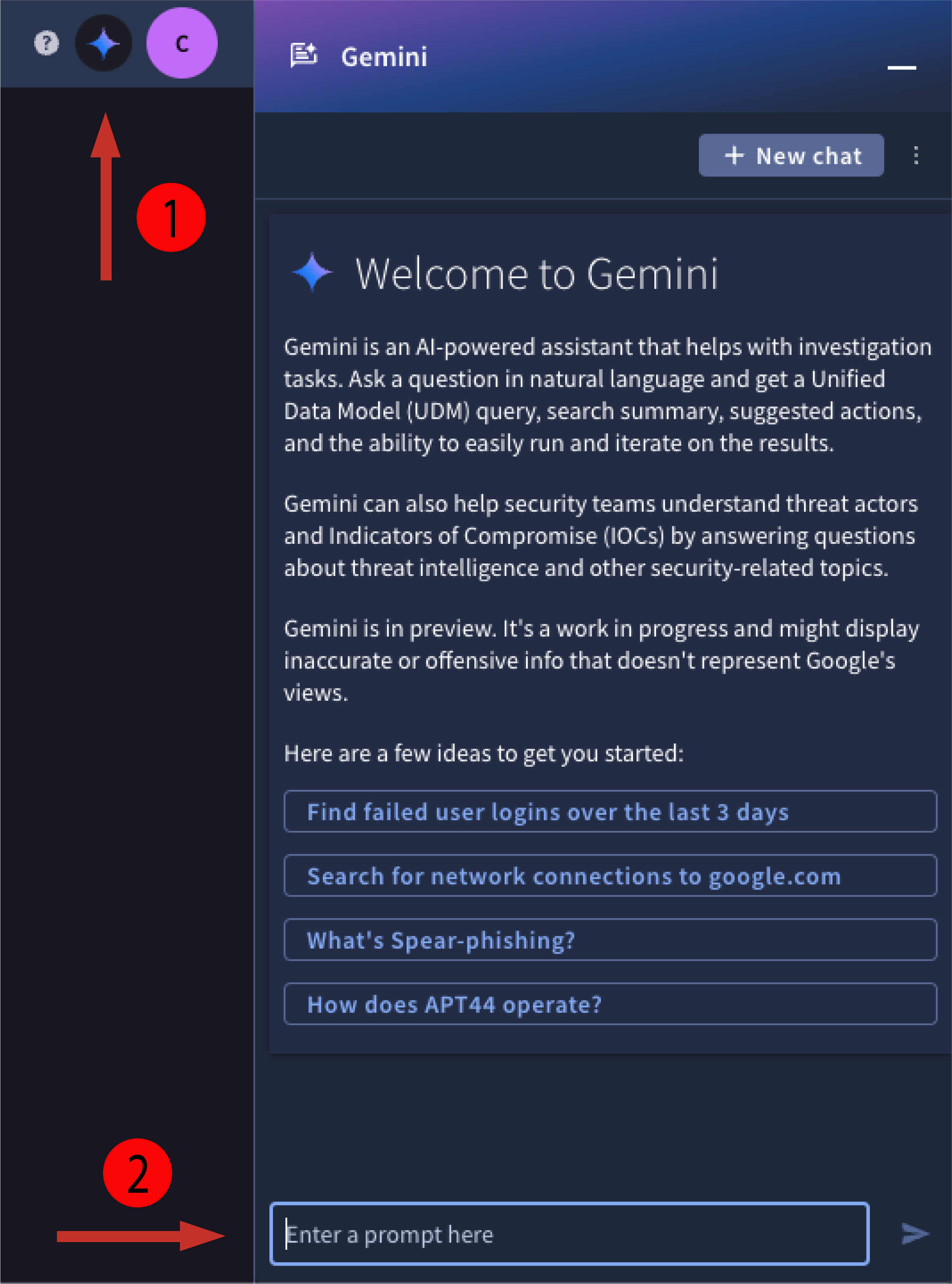 Open Gemini pane and enter prompt