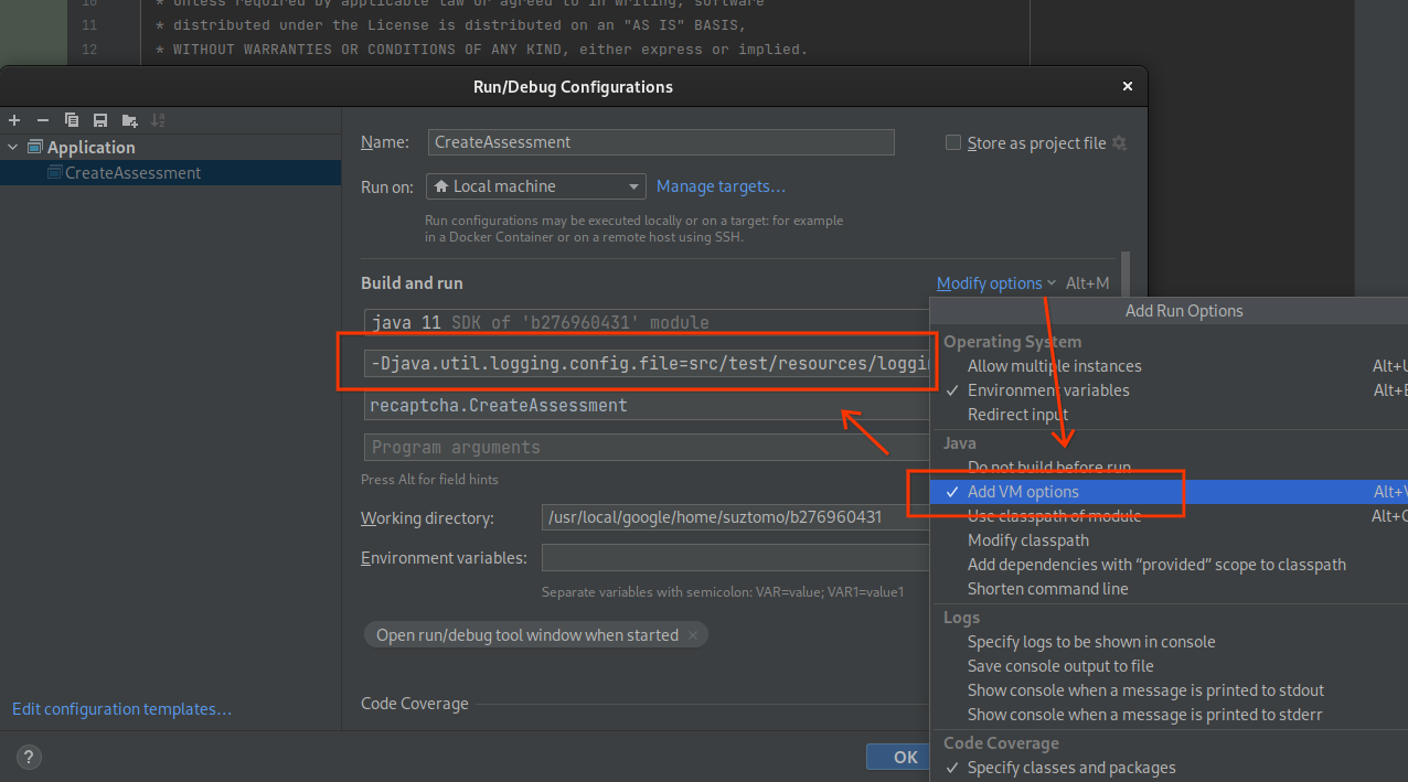 Configuration d'exécution/de débogage IntelliJ montrant où spécifier les arguments de VM