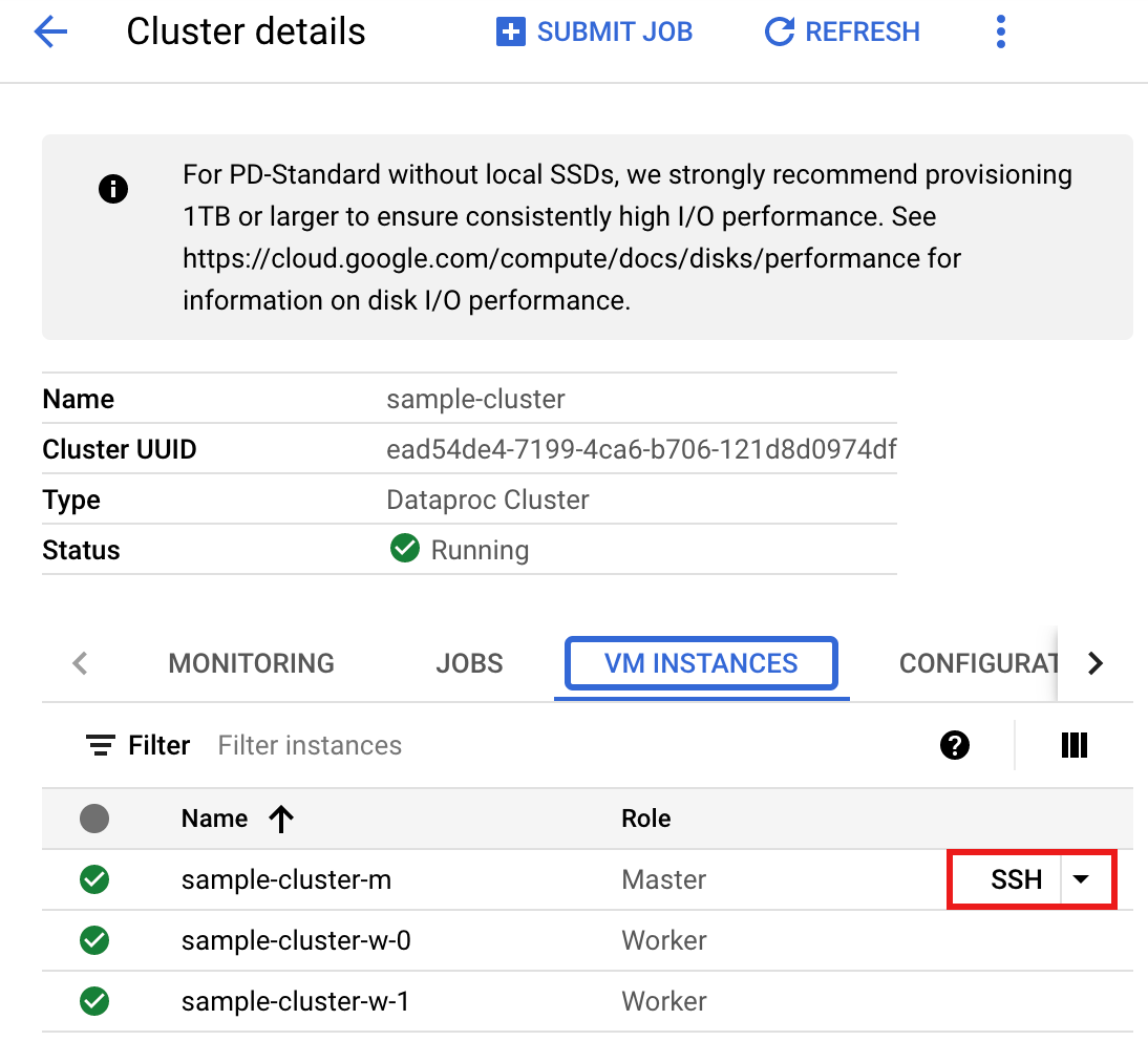 The Cluster details page showing the VM Instances tab.