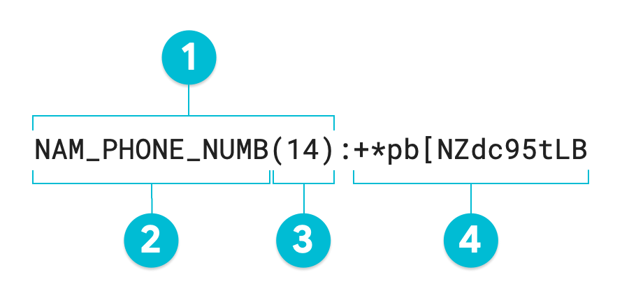 Annotated diagram of a value tokenized using the format preserving
encryption transformation method.