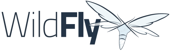 עיון בתיעוד של WildFly